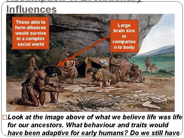 Assumption 1: Evolutionary Influences Those able to form alliances would survive in a complex