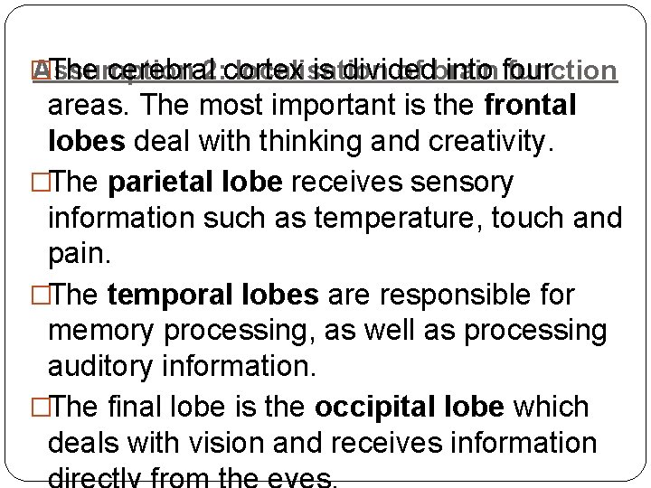 � The cerebral 2: cortex is divided into four Assumption localisation of brain function