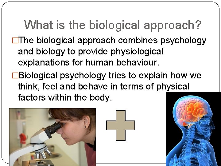 What is the biological approach? �The biological approach combines psychology and biology to provide