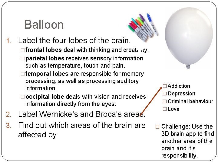 Balloon 1. Label the four lobes of the brain. �frontal lobes deal with thinking
