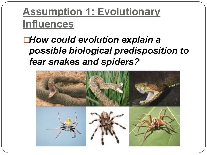 Assumption 1: Evolutionary Influences �How could evolution explain a possible biological predisposition to fear