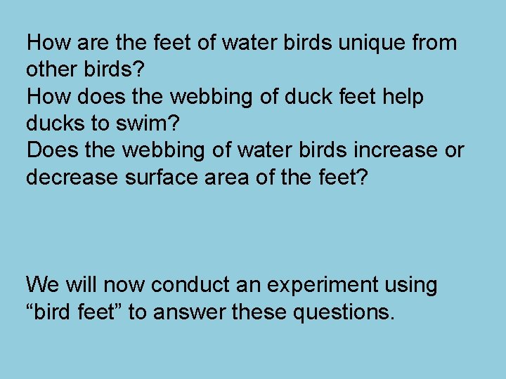 How are the feet of water birds unique from other birds? How does the