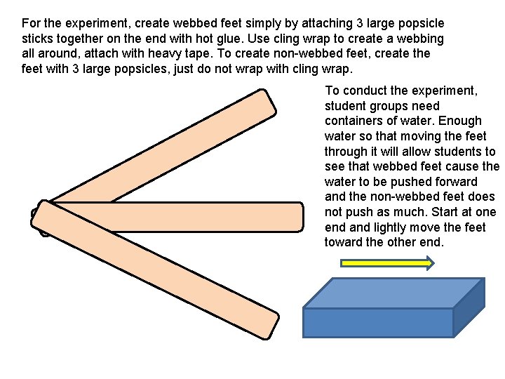 For the experiment, create webbed feet simply by attaching 3 large popsicle sticks together