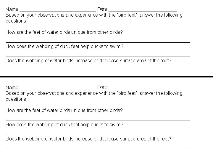 Name _____________________________ Date __________________________ Based on your observations and experience with the “bird feet”,