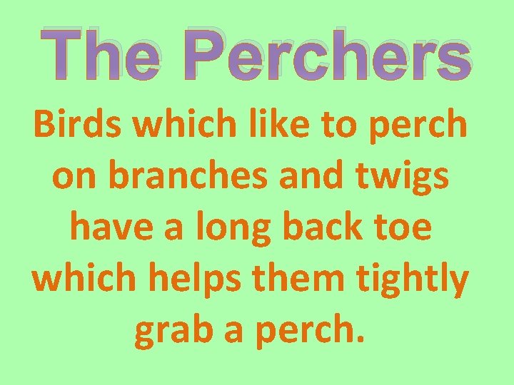 The Perchers Birds which like to perch on branches and twigs have a long