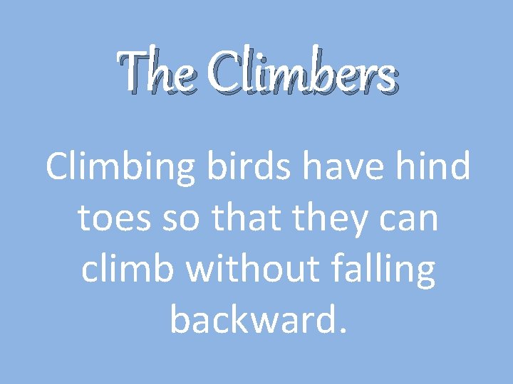 The Climbers Climbing birds have hind toes so that they can climb without falling