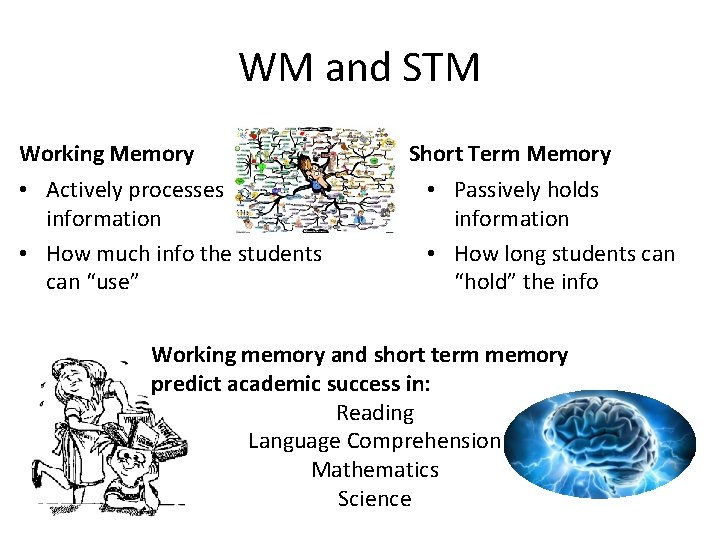 WM and STM Working Memory • Actively processes information • How much info the