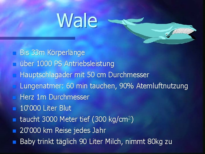 Wale n Bis 33 m Körperlänge n über 1000 PS Antriebsleistung n Hauptschlagader mit