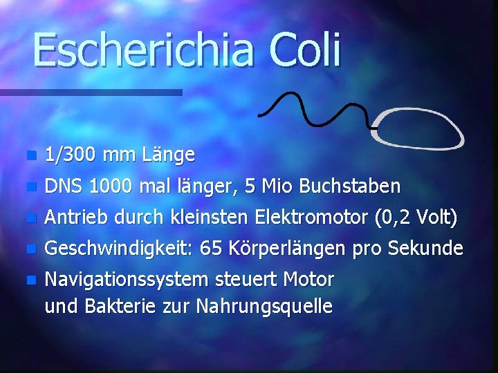 Escherichia Coli n 1/300 mm Länge n DNS 1000 mal länger, 5 Mio Buchstaben