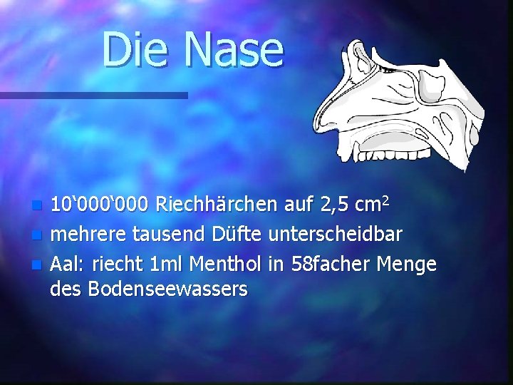 Die Nase n n n 10‘ 000 Riechhärchen auf 2, 5 cm 2 mehrere