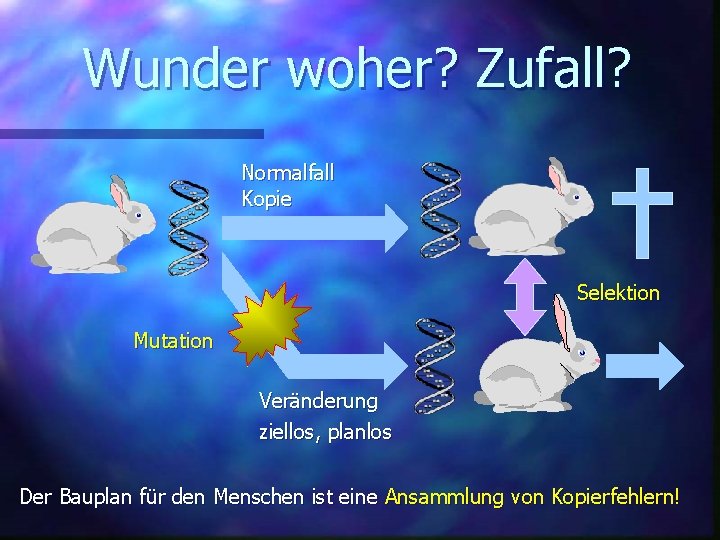 Wunder woher? Zufall? Normalfall Kopie Selektion Mutation Veränderung ziellos, planlos Der Bauplan für den