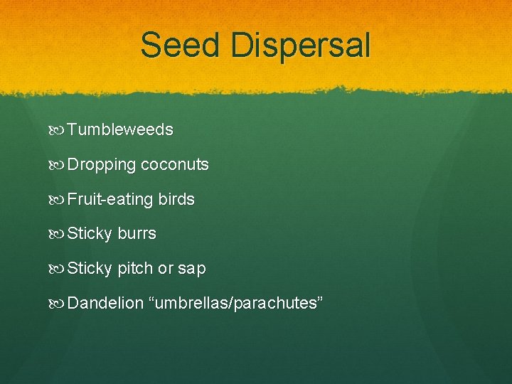 Seed Dispersal Tumbleweeds Dropping coconuts Fruit-eating birds Sticky burrs Sticky pitch or sap Dandelion