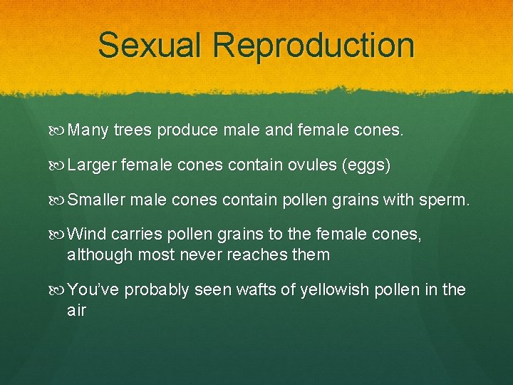 Sexual Reproduction Many trees produce male and female cones. Larger female cones contain ovules