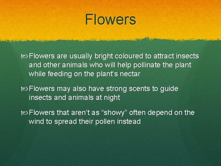 Flowers are usually bright coloured to attract insects and other animals who will help