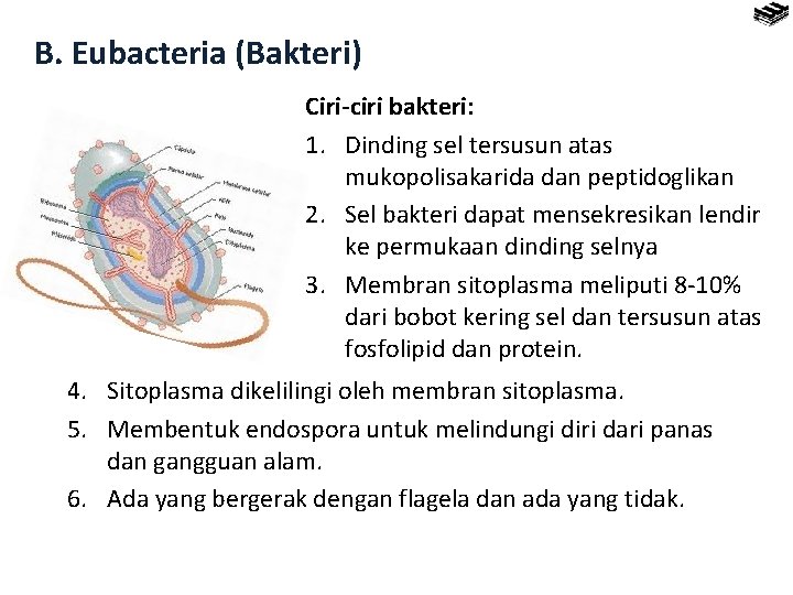 B. Eubacteria (Bakteri) Ciri-ciri bakteri: 1. Dinding sel tersusun atas mukopolisakarida dan peptidoglikan 2.