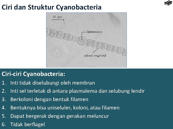 Ciri dan Struktur Cyanobacteria Ciri-ciri Cyanobacteria: 1. 2. 3. 4. 5. 6. Inti tidak