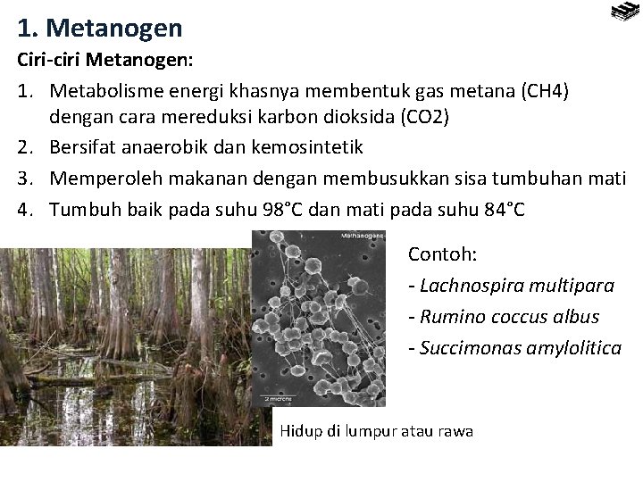 1. Metanogen Ciri-ciri Metanogen: 1. Metabolisme energi khasnya membentuk gas metana (CH 4) dengan