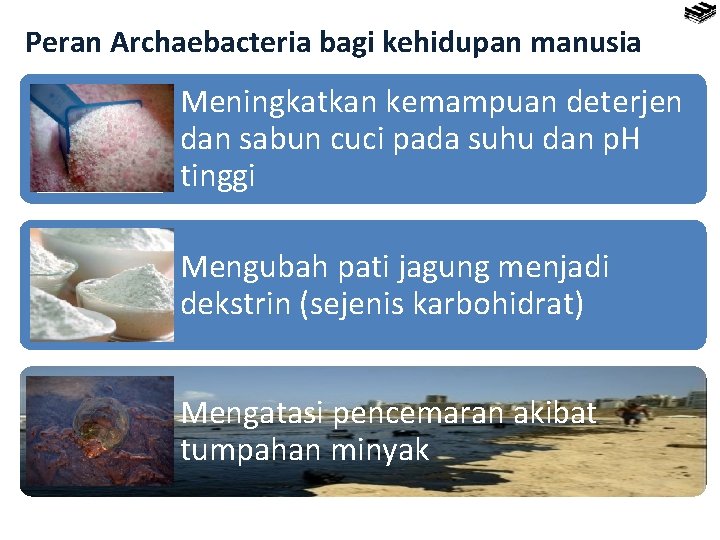 Peran Archaebacteria bagi kehidupan manusia Meningkatkan kemampuan deterjen dan sabun cuci pada suhu dan