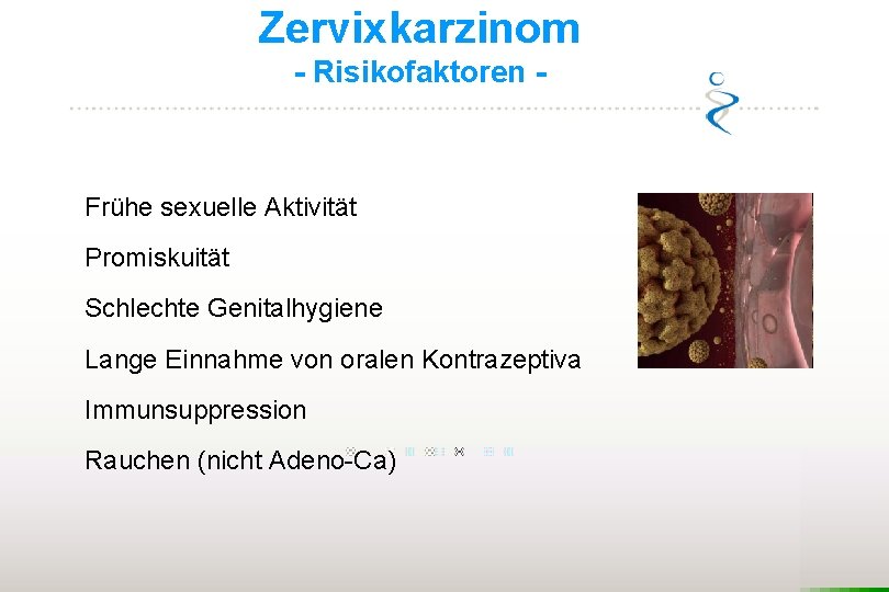 Zervixkarzinom - Risikofaktoren - Frühe sexuelle Aktivität Promiskuität Schlechte Genitalhygiene Lange Einnahme von oralen