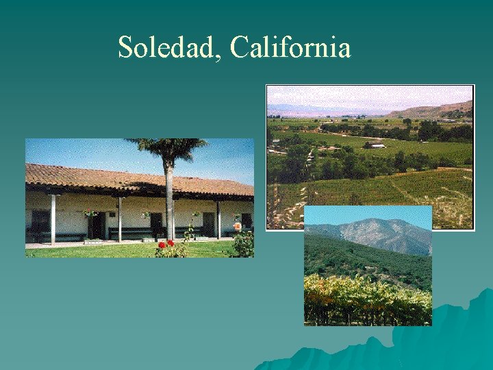 Soledad, California 