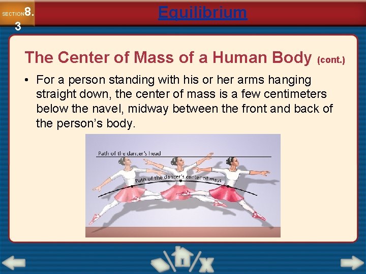 8. SECTION 3 Equilibrium The Center of Mass of a Human Body (cont. )