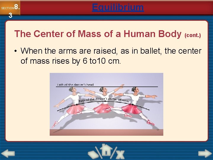 8. SECTION 3 Equilibrium The Center of Mass of a Human Body (cont. )