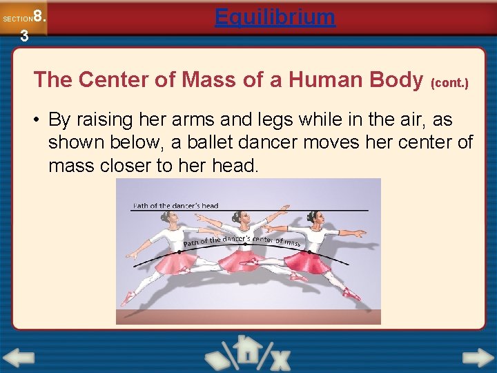 8. SECTION 3 Equilibrium The Center of Mass of a Human Body (cont. )