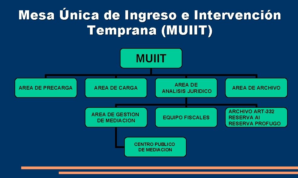 Mesa Única de Ingreso e Intervención Temprana (MUIIT) MUIIT AREA DE PRECARGA AREA DE