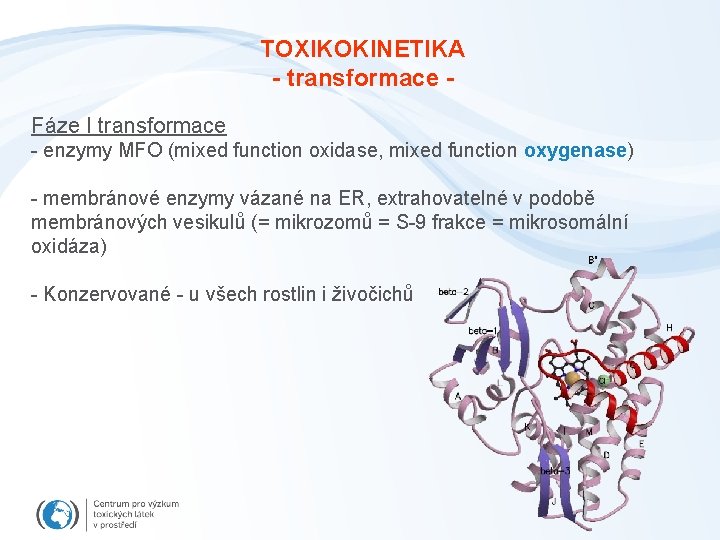 TOXIKOKINETIKA - transformace Fáze I transformace - enzymy MFO (mixed function oxidase, mixed function