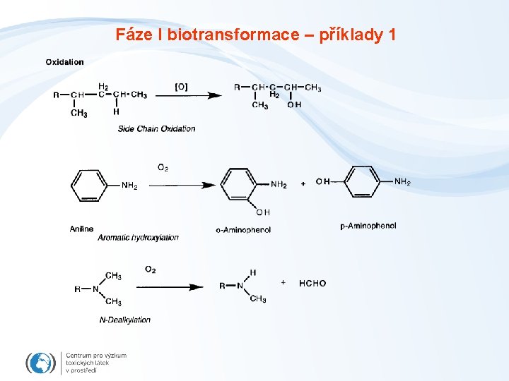 Fáze I biotransformace – příklady 1 