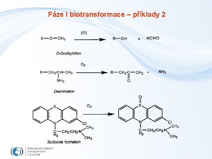 Fáze I biotransformace – příklady 2 