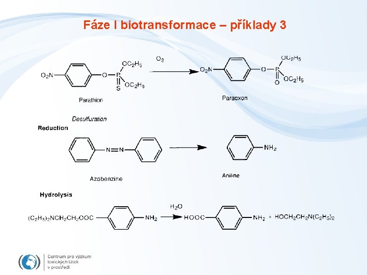 Fáze I biotransformace – příklady 3 