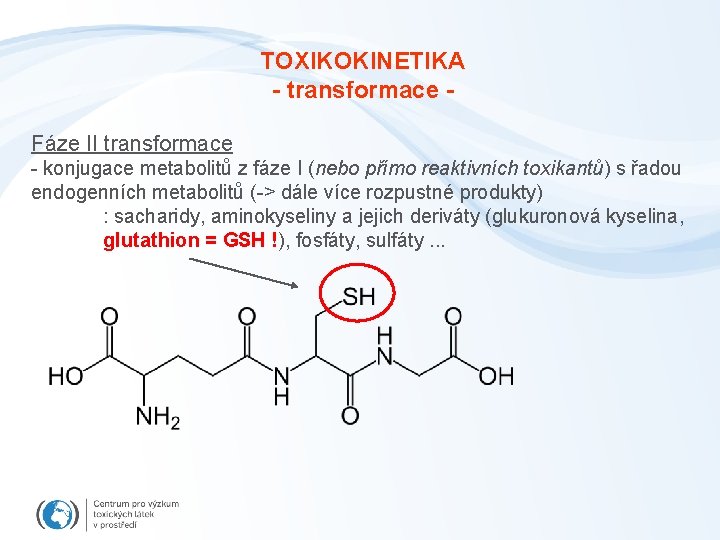 TOXIKOKINETIKA - transformace Fáze II transformace - konjugace metabolitů z fáze I (nebo přímo