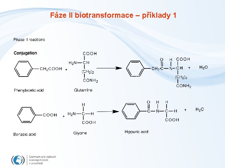 Fáze II biotransformace – příklady 1 