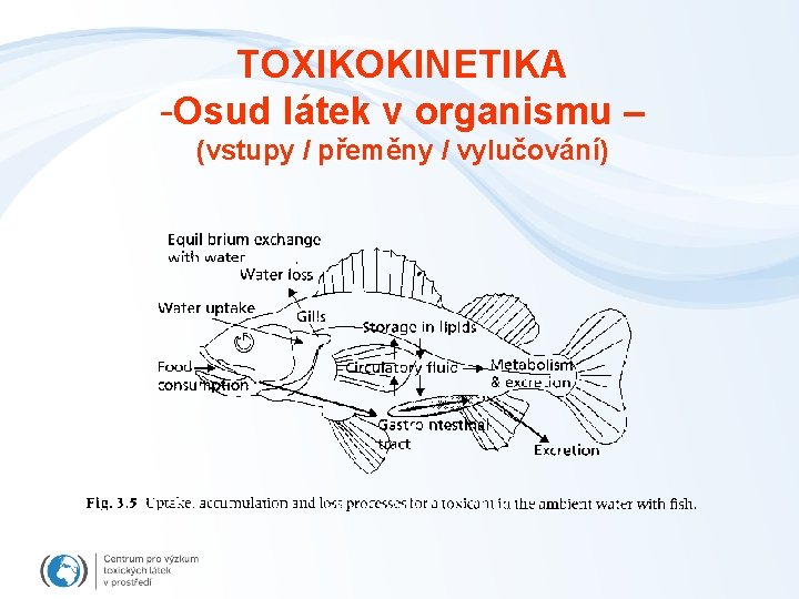 TOXIKOKINETIKA -Osud látek v organismu – (vstupy / přeměny / vylučování) 