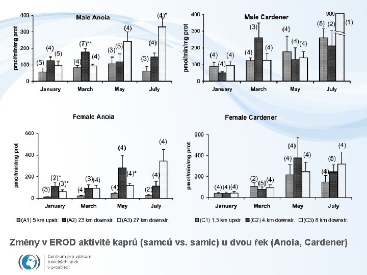 Změny v EROD aktivitě kaprů (samců vs. samic) u dvou řek (Anoia, Cardener) 