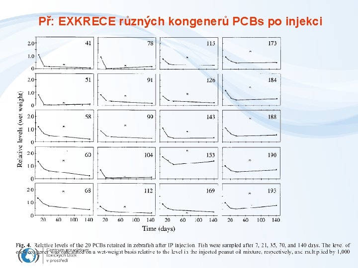 Př: EXKRECE různých kongenerů PCBs po injekci 