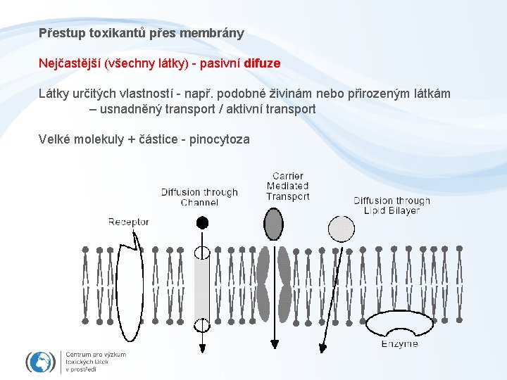 Přestup toxikantů přes membrány Nejčastější (všechny látky) - pasivní difuze Látky určitých vlastností -