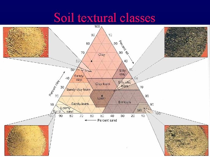 Soil textural classes 