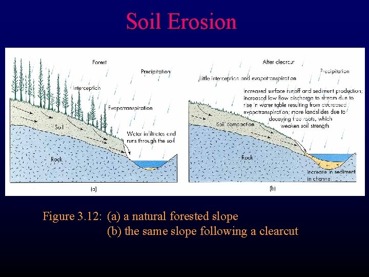 Soil Erosion Figure 3. 12: (a) a natural forested slope (b) the same slope