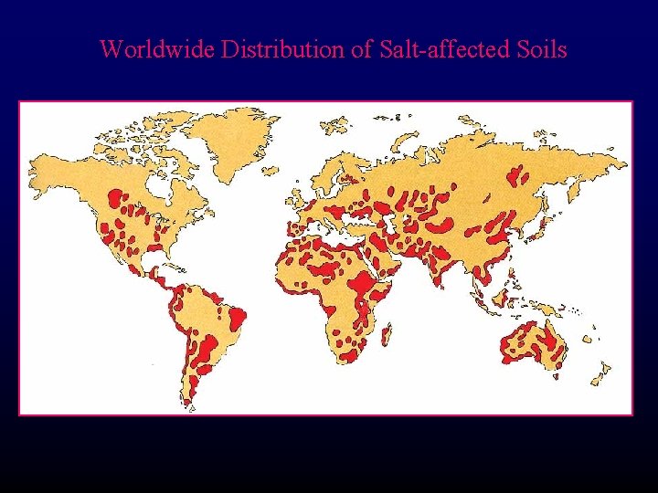 Worldwide Distribution of Salt-affected Soils 