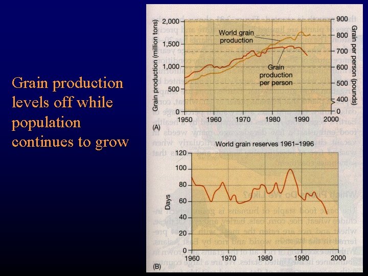 Grain production levels off while population continues to grow 