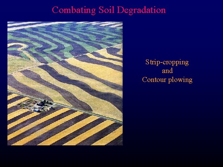 Combating Soil Degradation Strip-cropping and Contour plowing 