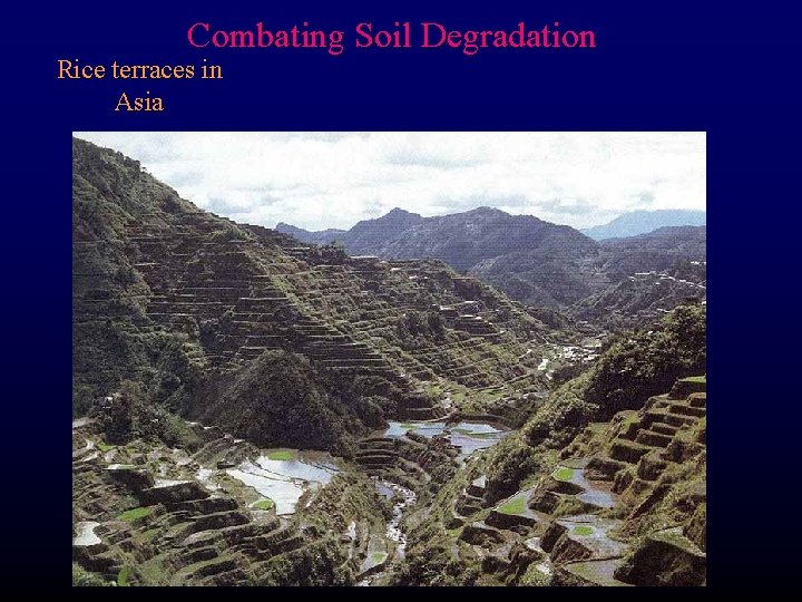 Combating Soil Degradation Rice terraces in Asia 