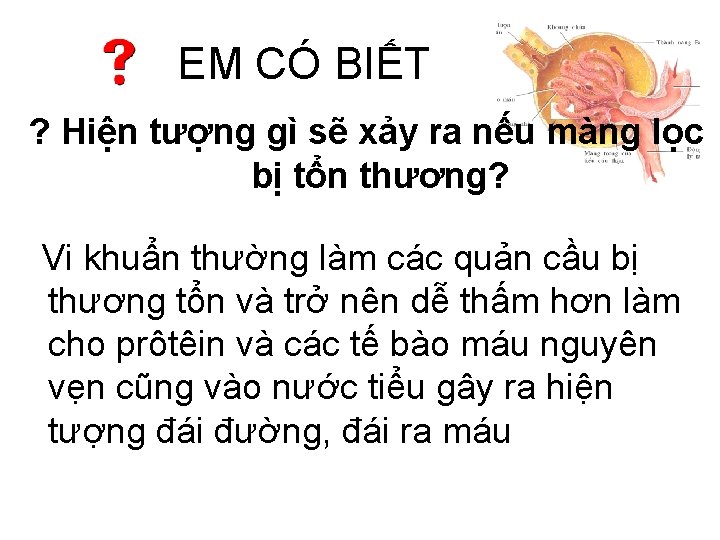 EM CÓ BIẾT ? Hiện tượng gì sẽ xảy ra nếu màng lọc bị