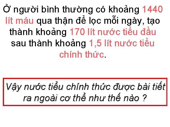 Ở người bình thường có khoảng 1440 lít máu qua thận để lọc mỗi