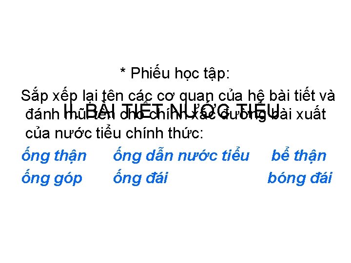 * Phiếu học tập: Sắp xếp lại tên các cơ quan của hệ bài