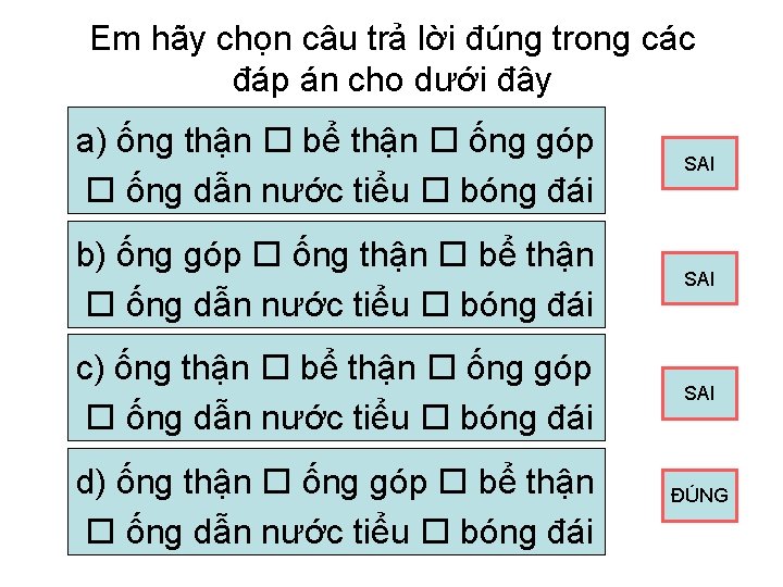 Em hãy chọn câu trả lời đúng trong các đáp án cho dưới đây