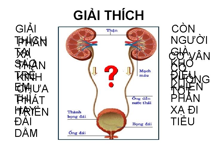 GIẢI THÍCH PHẢN TẠI XẠ SAO THẦN TRẺ KINH EM CHƯA THÌ PHÁT HAY