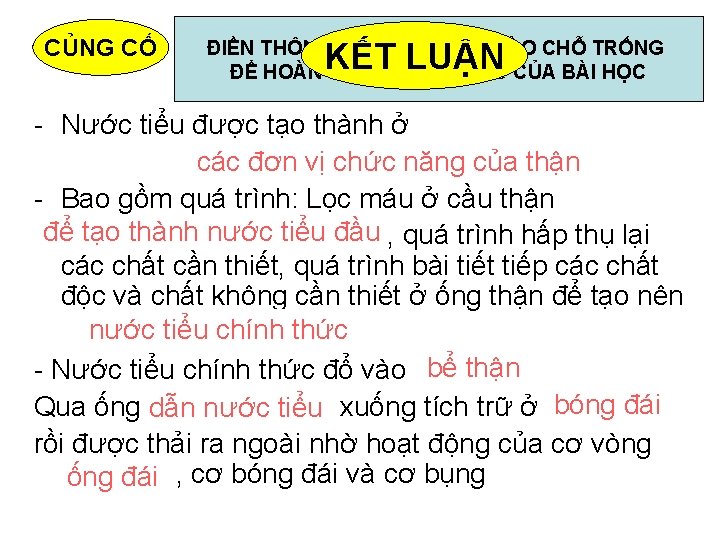 CỦNG CỐ KẾT LUẬN ĐIỀN THÔNG TIN THÍCH HỢP VÀO CHỖ TRỐNG ĐỂ HOÀN